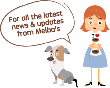 All the latest news and updates from the Melba's Blog